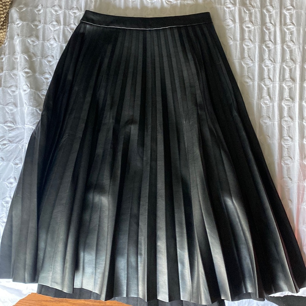 Pleated Skirt